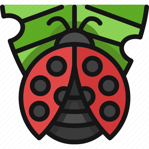 Ladybug, insect, bug, beetle, animal icon - Download on Iconfinder