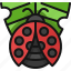 ladybug, insect, bug, beetle, animal 