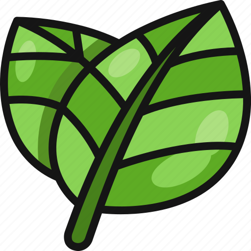 Leaf, leaves, green, plant, eco, nature icon - Download on Iconfinder