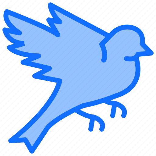 Spring, bird, flying, fly icon - Download on Iconfinder