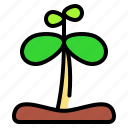 sprout, plant, leaf, sprouts, tree, joshua tree, seed, natural, grow plant