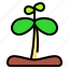 sprout, plant, leaf, sprouts, tree, joshua tree, seed, natural, grow plant 