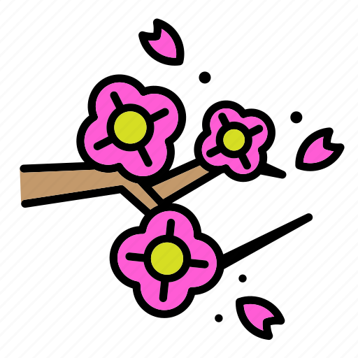 Cherry, blossom, nature, flower, beautiful, garden, summer icon - Download on Iconfinder