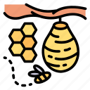 bee, honey, hive, beehive, honeycomb, fly, spring