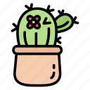 cactus, desert, plant, garden, spring
