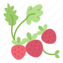 fruit, leaf, strawberry, strawberries, spring