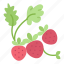 fruit, leaf, strawberry, strawberries, spring 