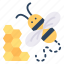 honeycomb, honey, fly, bee, animal, spring