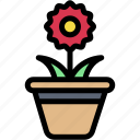 flower, pot, gardening, and, farming, spring, sprout, nature