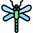 dragonfly, spring, animal, nature, insect, zoology