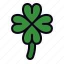 clover, shamrock, clover leaf, irish, botanical, gardening, nature, garden, farming and gardening