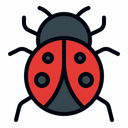 Ladybird, lady bug, bug, insect, nature, animal, spring icon - Download on Iconfinder