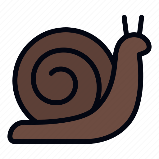 Snail, animal, wildlife, animals, animal kingdom, snails, slow icon - Download on Iconfinder