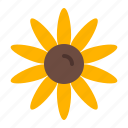 sun flower, sunflower, floral, bloom, autumn, spring, plant, farming, gardening, agriculture