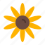 sun flower, sunflower, floral, bloom, autumn, spring, plant, farming, gardening, agriculture 