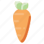 carrot, food, heathy, plant, vegetable 
