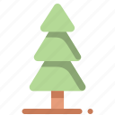 christmas, nature, pine, tree, wood