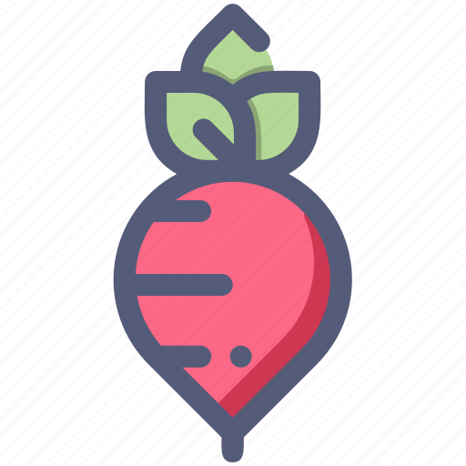 Beet, food, ingredients, radish, vegetable icon - Download on Iconfinder