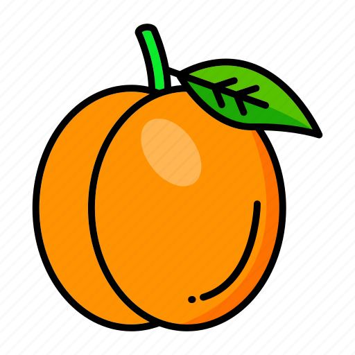 Apricot, food, fruit, peach, spring icon - Download on Iconfinder