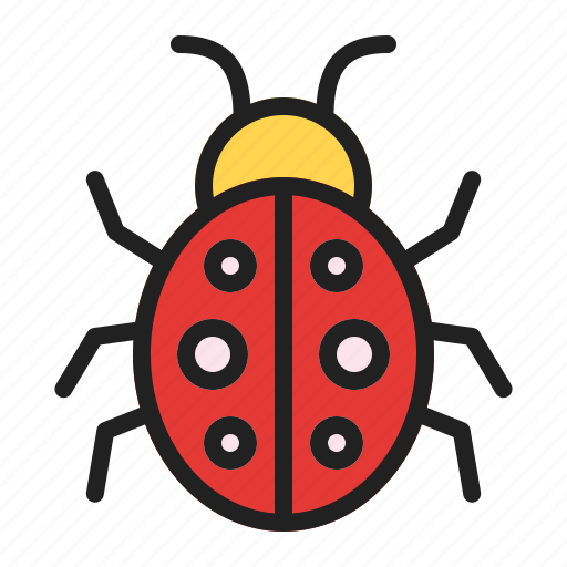 Beetle, bug, insect, spring icon - Download on Iconfinder