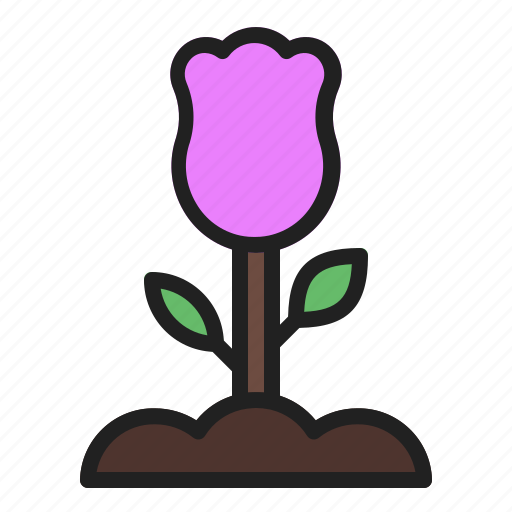 Blossom, flower, rose, spring icon - Download on Iconfinder