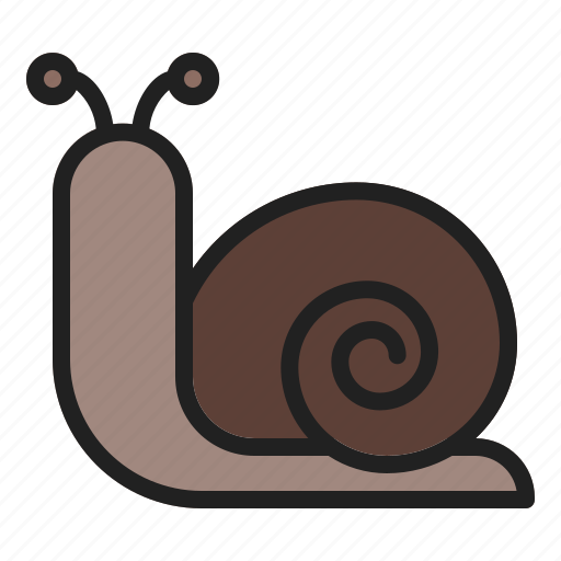 Animal, shell, snail, spring, wildlife icon - Download on Iconfinder