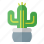 cactus, desert, plant, spring 