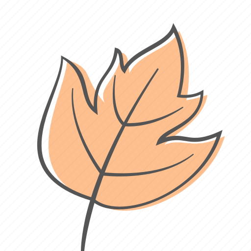 Autumn, floral, leaf, maple, nature, ornament, plant icon - Download on Iconfinder