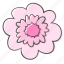 blossom, floral, flower, nature, ornament, pink, plant 