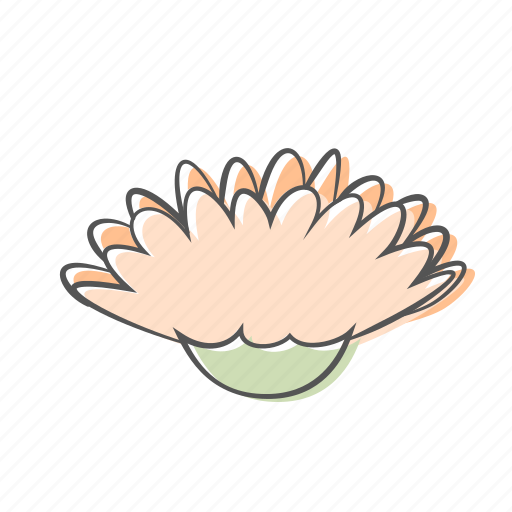 Blossom, daisy, floral, flower, gerbera, ornament, plant icon - Download on Iconfinder