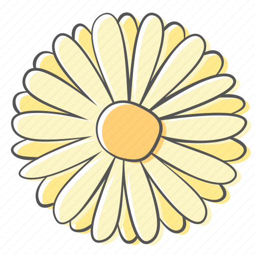 Daisy, floral, flower, nature, ornament, plant, spring icon - Download on Iconfinder