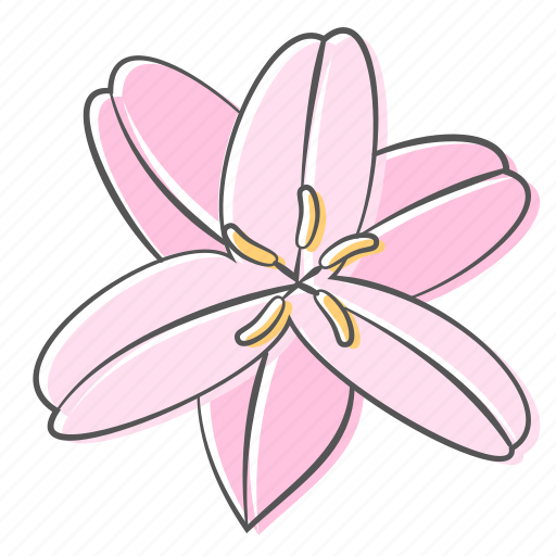 Floral, flower, lily, nature, ornament, plant, spring icon - Download on Iconfinder