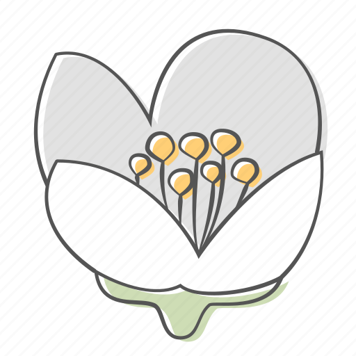 Floral, flower, jasmine, nature, ornament, plant, spring icon - Download on Iconfinder