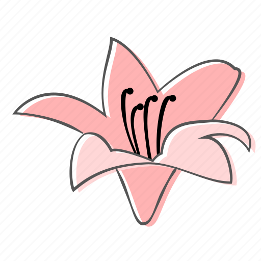 Amaryllis, floral, flower, nature, ornament, plant, spring icon - Download on Iconfinder