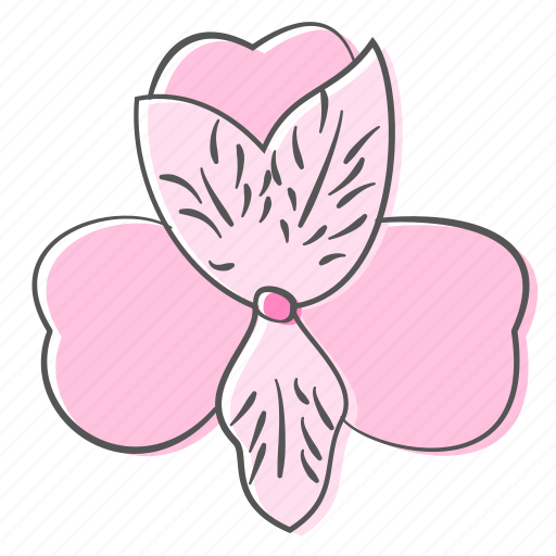Alstroemeria, floral, flower, nature, ornament, plant, spring icon - Download on Iconfinder