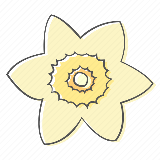 Daffodil, floral, flower, nature, ornament, plant, spring icon - Download on Iconfinder