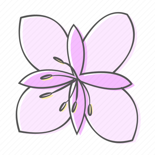 Fireweed, floral, flower, nature, ornament, plant, spring icon - Download on Iconfinder