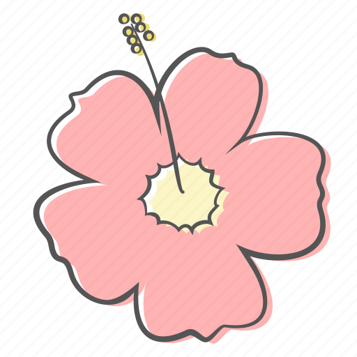 Floral, flower, hibiscus, nature, ornament, plant, spring icon - Download on Iconfinder