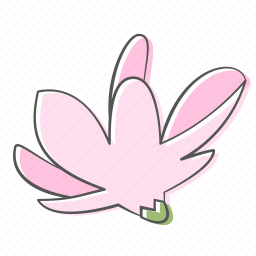 Floral, flower, magnolia, nature, ornament, plant, spring icon - Download on Iconfinder