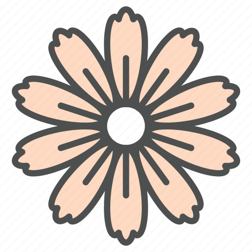 Blossom, cosmos, daisy, flower, nature, spring icon - Download on Iconfinder