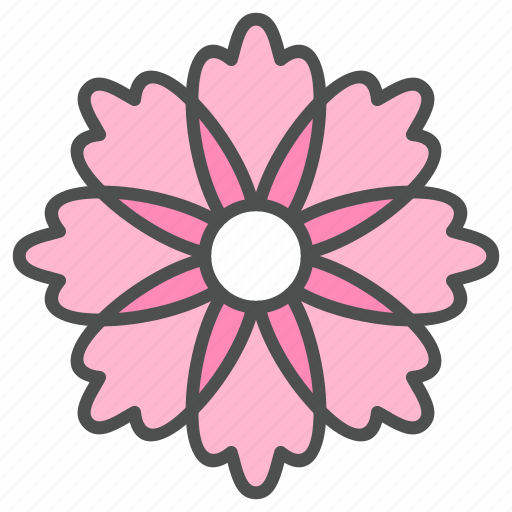 Blossom, cosmos, daisy, flower, nature, spring icon - Download on Iconfinder