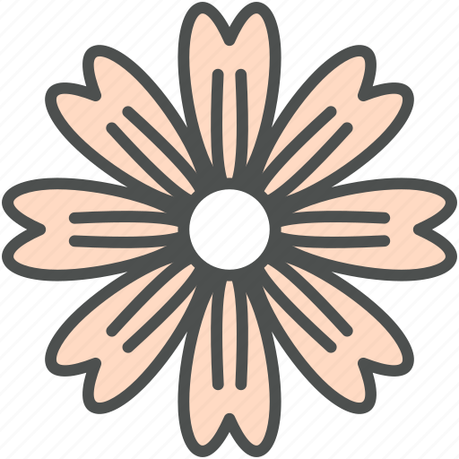 Blossom, cosmos, daisy, flower, lavatera, nature, spring icon - Download on Iconfinder