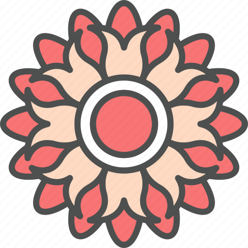 Blossom, cosmos, dahlia, flower, nature, spring icon - Download on Iconfinder