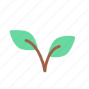 leaf, nature, ecology, plant, eco, energy, green