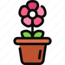 flower pot, floral, garden, decoration, plant, bloom