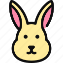 rabbit, bunny, domestic animal, pet, hare, mammal