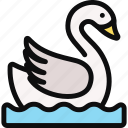 swan, animal, bird, fauna, wildlife, swimming