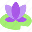 water lily, lily pad, pond, nature, flower, plant 
