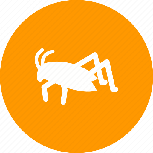 Animal, bug, grasshopper, green, insect, spring icon - Download on Iconfinder