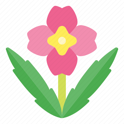 Spring, springtime, seasons, flowers, easter, primrose icon - Download on Iconfinder